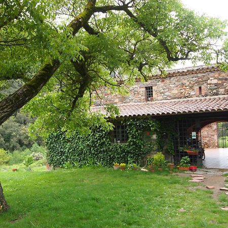 Bed And Breakfast Casanova De Sant Miquel Aiguafreda 외부 사진
