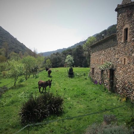 Bed And Breakfast Casanova De Sant Miquel Aiguafreda 외부 사진