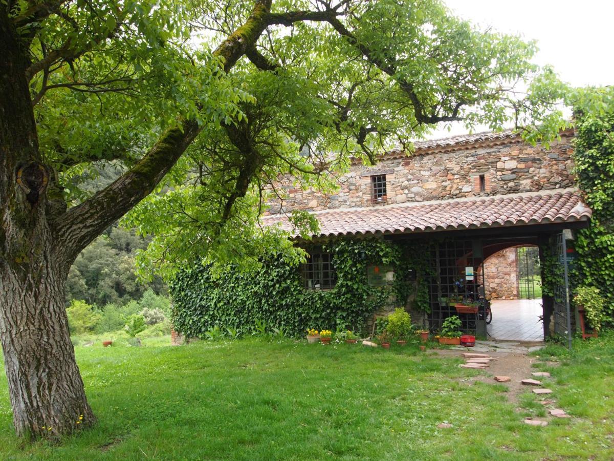 Bed And Breakfast Casanova De Sant Miquel Aiguafreda 외부 사진