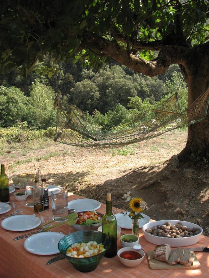 Bed And Breakfast Casanova De Sant Miquel Aiguafreda 외부 사진