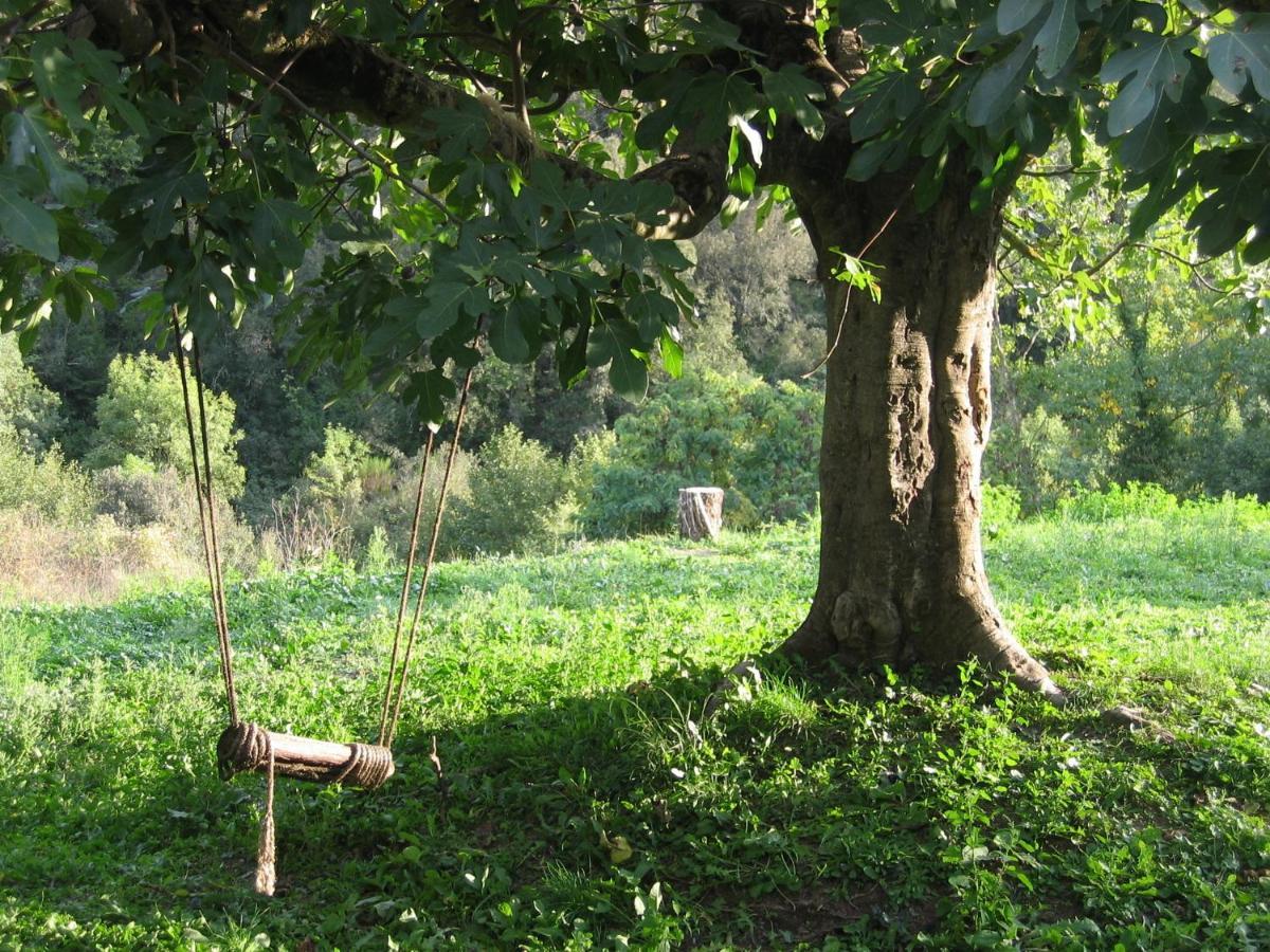 Bed And Breakfast Casanova De Sant Miquel Aiguafreda 외부 사진