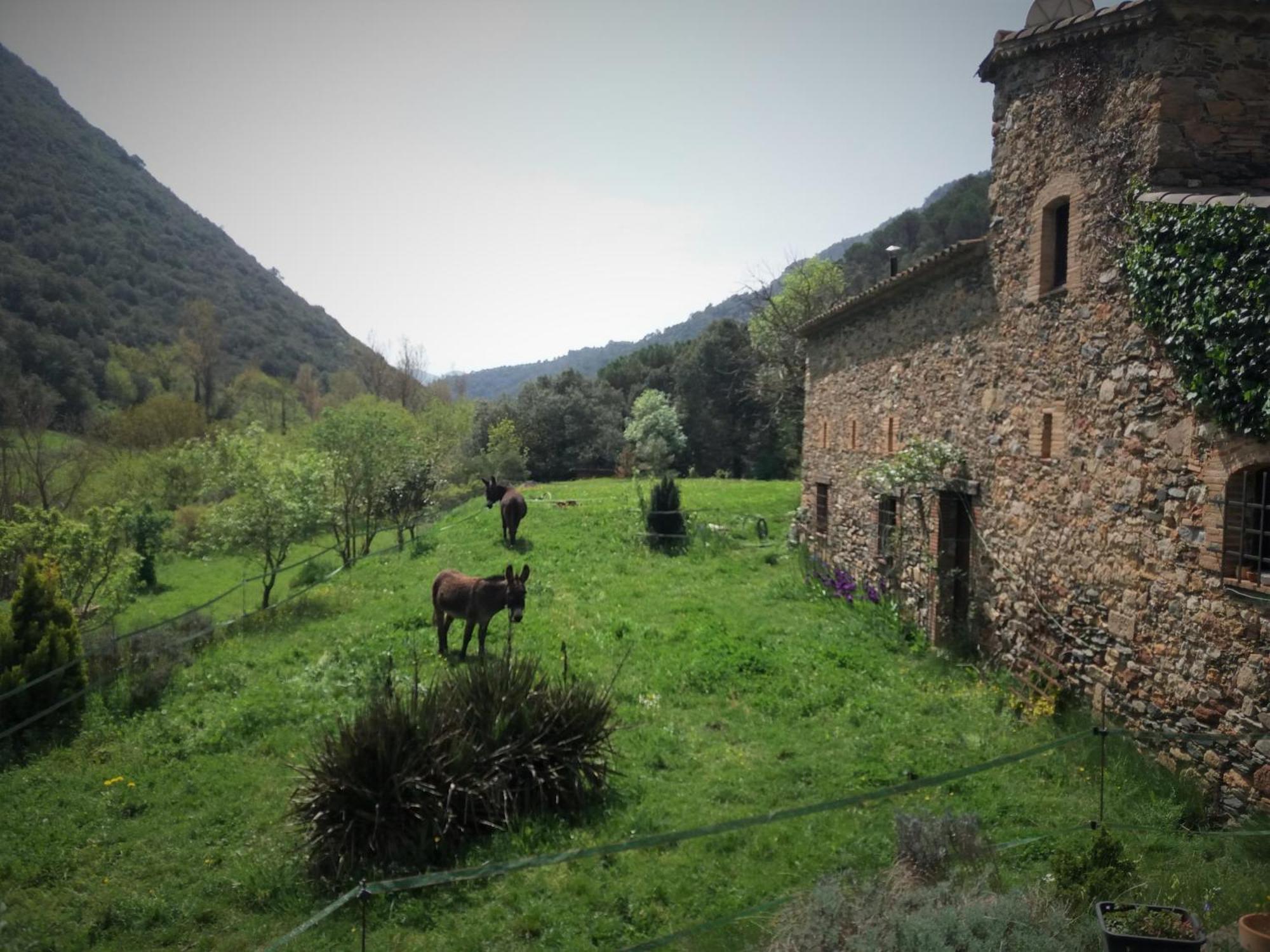 Bed And Breakfast Casanova De Sant Miquel Aiguafreda 외부 사진