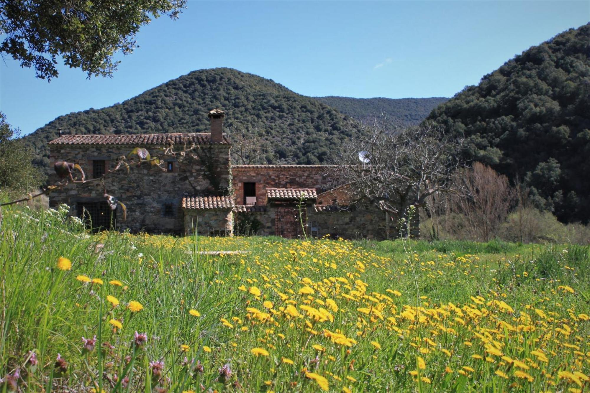 Bed And Breakfast Casanova De Sant Miquel Aiguafreda 외부 사진